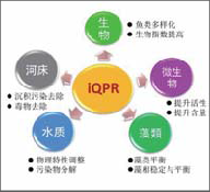 iqpr水体修复技术 展会新闻 第1张