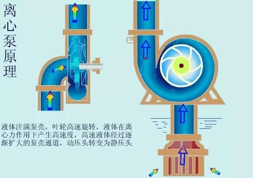 看图秒懂 36种泵原理 展会新闻 第13张