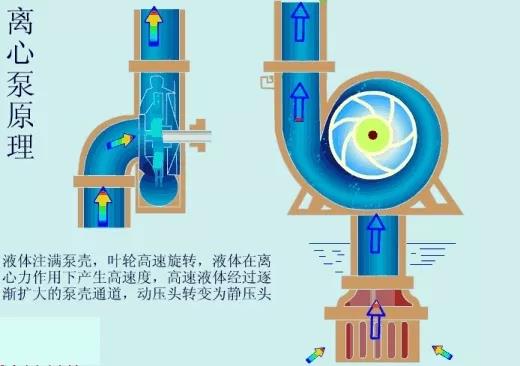 看图秒懂 17种泵的工作原理及性能特点展示图 行业热点 第9张