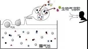 污水厂内的生物气溶胶怎么产生，污水从业人员如何做好防护？ 行业热点 第3张