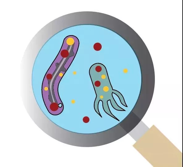 污水厂内的生物气溶胶怎么产生，污水从业人员如何做好防护？ 行业热点 第4张