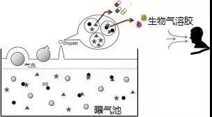 住建部：如何应对新冠病毒从马桶到水环境的潜在传输途径？ 行业热点 第3张