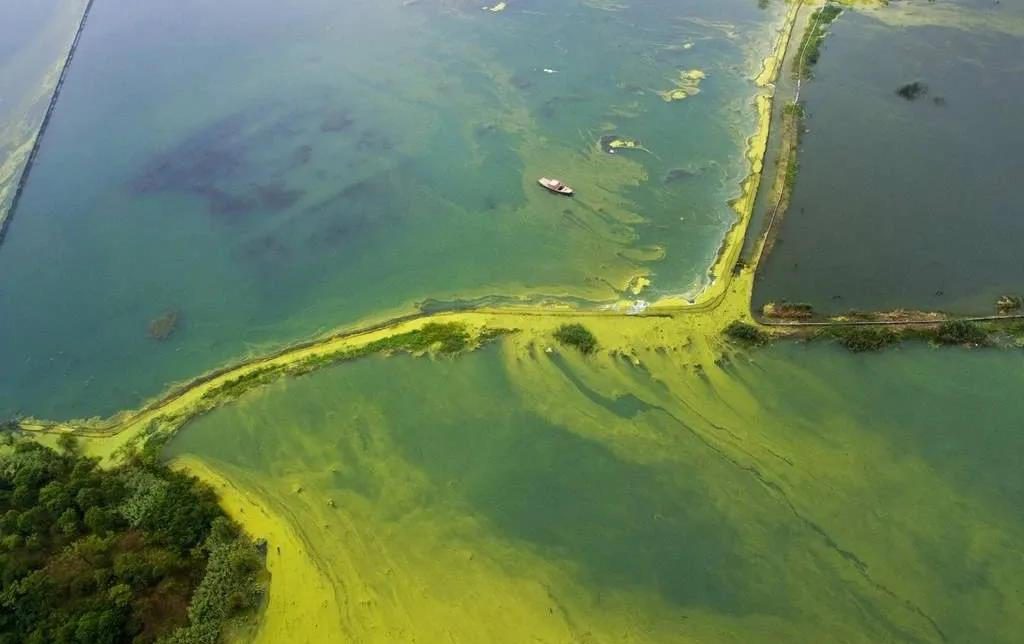 江苏修订太湖水环境治理专项资金管理办法，5月27日起实施 新闻资讯 第3张