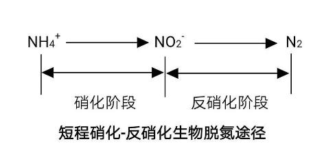 生化法除氨氮的技术汇总！ 新闻资讯 第3张