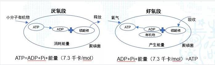 碳中和趋势下污水处理节能降耗技术需求解读 新闻资讯 第3张