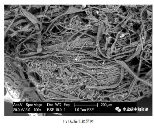 碳中和：可持续污水处理厂一个可以实现的目标 新闻资讯 第4张