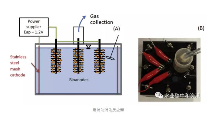 碳中和：可持续污水处理厂一个可以实现的目标 新闻资讯 第6张