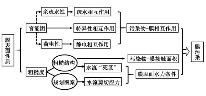 高压膜表面性质对膜污染的影响机制 新闻资讯 第1张