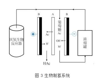 双极膜电渗析技术的研究进展 新闻资讯 第3张