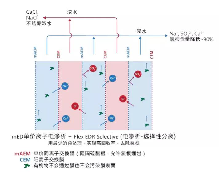 电渗析技术还能这么用！ 新闻资讯 第2张