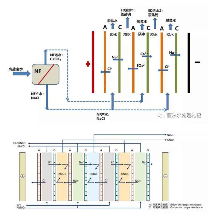 电渗析技术还能这么用！ 新闻资讯 第4张