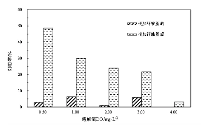 纤维素对污水生物处理系统性能的影响及机理分析 新闻资讯 第6张