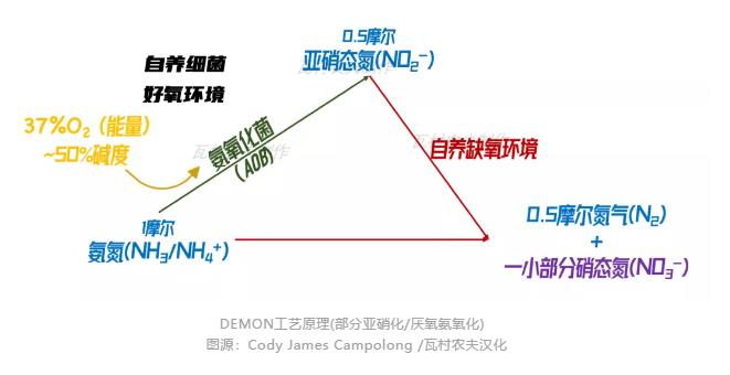 弯路变捷径！美国首个主流anammox污水厂2023年面世？ 新闻资讯 第1张