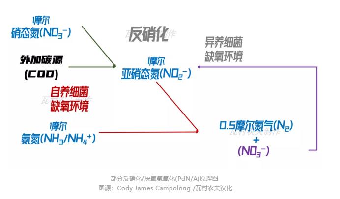 弯路变捷径！美国首个主流anammox污水厂2023年面世？ 新闻资讯 第2张