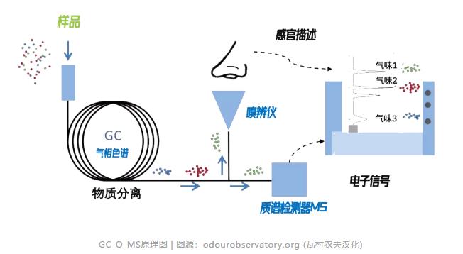 会飞的电子鼻——污水处理4.0时代的无人机应用 新闻资讯 第5张