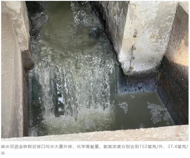 扬州市黑臭水体整治“治标不治本”污水直排问题突出 新闻资讯 第2张