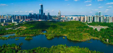 武汉经开区长江经济带降碳减污扩绿增长十大行动实施方案