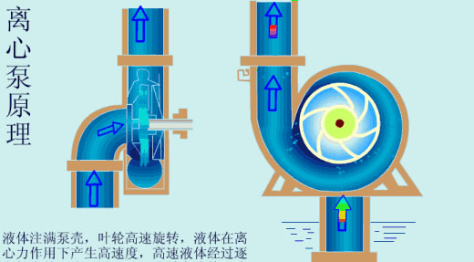 给（gei）水泵、给（ji）水泵别再傻傻分不清楚（内含动画）